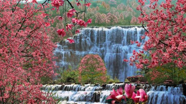 处辛夷花观赏点去过的竟说坑?冰球突破技巧深扒四川绵阳3(图7) 处辛夷花观赏点去过的竟说坑?冰球突破技巧深扒四川绵阳3(图7)