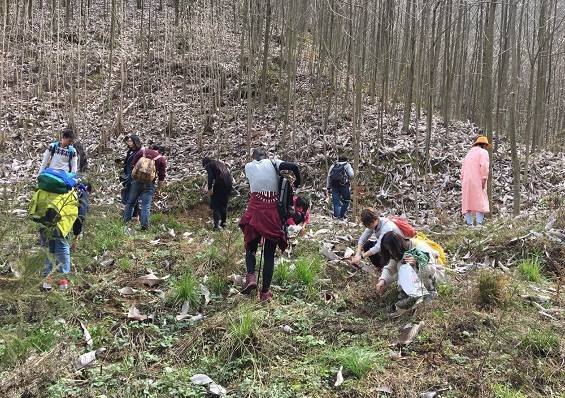处辛夷花观赏点去过的竟说坑?冰球突破技巧深扒四川绵阳3(图11) 处辛夷花观赏点去过的竟说坑?冰球突破技巧深扒四川绵阳3(图11)