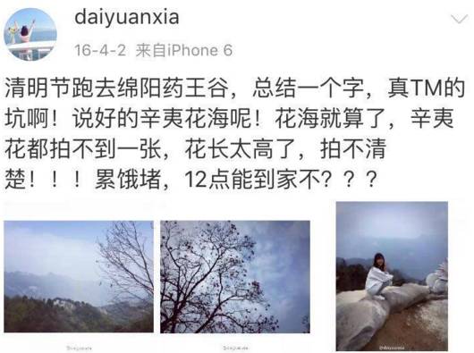 处辛夷花观赏点去过的竟说坑?冰球突破技巧深扒四川绵阳3(图15) 处辛夷花观赏点去过的竟说坑?冰球突破技巧深扒四川绵阳3(图15)