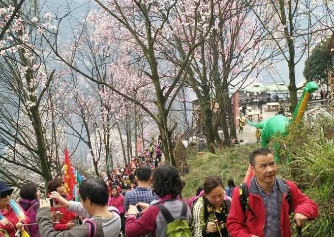 处辛夷花观赏点去过的竟说坑?冰球突破技巧深扒四川绵阳3(图16) 处辛夷花观赏点去过的竟说坑?冰球突破技巧深扒四川绵阳3(图16)