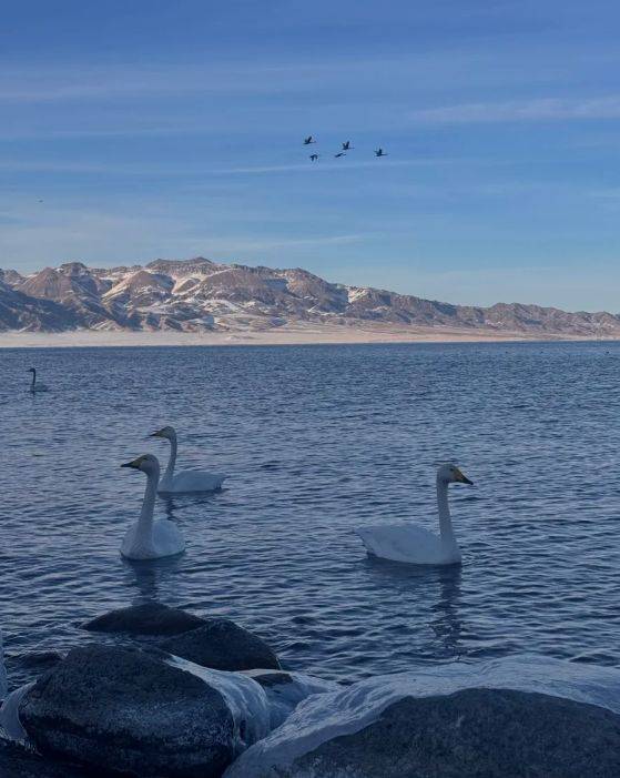 胜游领衔2025新疆高信誉旅行社TOP10冰球突破豪华版5000+游客亲测揭晓:远(图1) 胜游领衔2025新疆高信誉旅行社TOP10冰球突破豪华版5000+游客亲测揭晓:远(图1)