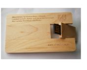 wood card flash drive 801041
