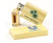 Bamboo flash drive